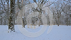 German war cemetery in a forest in Rakvere