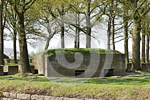 German war cemetery of Langemark