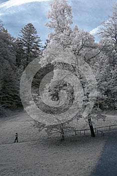 Germany bayern garden infrared alone girl