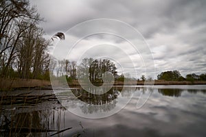 Germany - Brandenburg - MÃ¼hlenbeck - LÃ¶wenzahnpfad