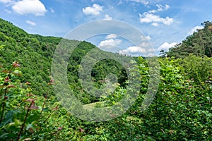 Germany, Burg Eltz Castle, a group of bushes with a mountain in the background