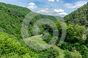 Germany, Burg Eltz Castle, a group of bushes with a mountain in the background