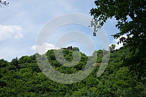 Germany, Burg Eltz Castle, a large tree in a forest