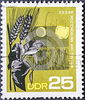 GERMANY, DDR - CIRCA 1968: a postage stamp from Germany, GDR showing a grain field with ears of corn. Text: World Meterology Day