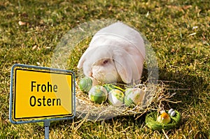 Germany Frohe Ostern Easter Bunny