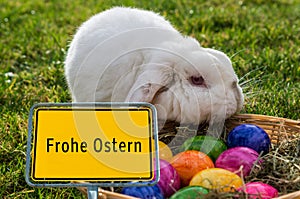 Germany Frohe Ostern Easter Bunny
