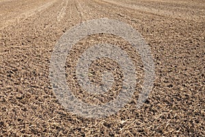 Germany, harvested field