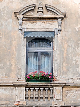 Germany Thuringen, beautiful window with flowerpot of a vintage residential building