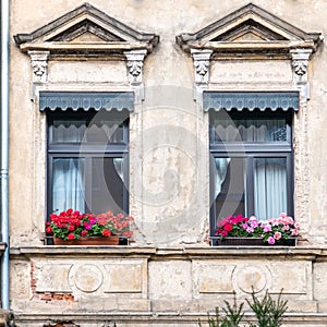 Germany Thuringen, two windows of a vintage building with colorful flower pots