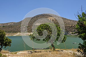 Germasogeia Dam seen through a single tree with a bench underneath it