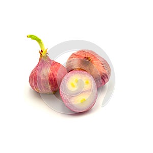 Germinate onion red isolated on the white background