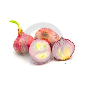 Germinate onion red isolated on the white background