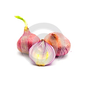 Germinate onion red isolated on the white background