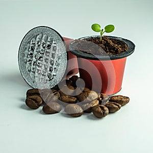 Germinate the plant in a used coffee capsule. Capsules for espresso coffee. BIO-coffee, compostable capsules.