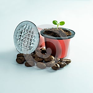 Germinate the plant in a used coffee capsule. Capsules for espresso coffee. BIO-coffee, compostable capsules.