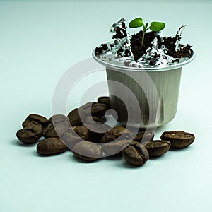 Germinate the plant in a used coffee capsule. Capsules for espresso coffee. BIO-coffee, compostable capsules.