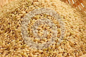 Germinated brown rice
