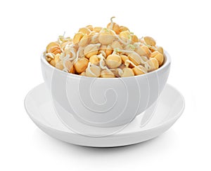 Germinated chickpeas in a bowl on white background