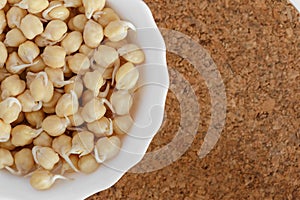 Germinated chickpeas in a white bowl