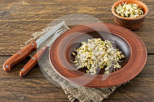 Germinated food. Sprouted beans in a plate on rustic wooden background. Macrobiotics
