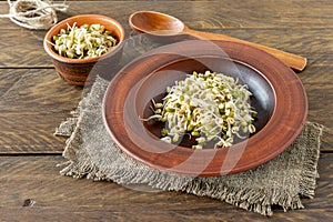 Germinated food. Sprouted beans in a plate on rustic wooden background. Macrobiotics