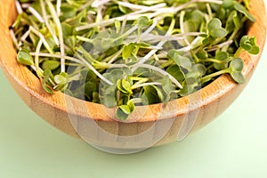 Germinated radish sprouts in wooden bowl on light green background