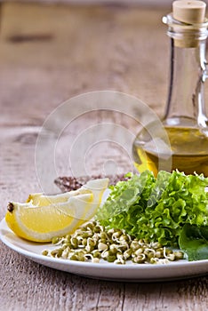 Germinating seed mung