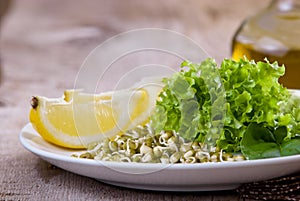 Germinating seed mung