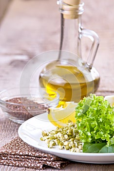 Germinating seed mung