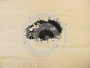 Germinating seeds for basil sprouts