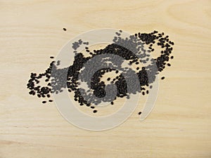 Germinating seeds for basil sprouts