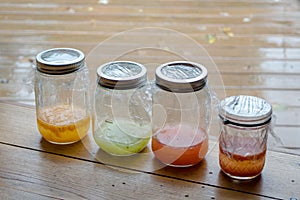 Germinating seeds in jars