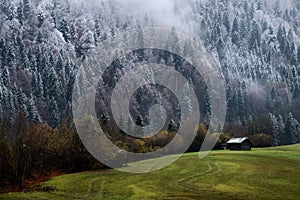 Geroldsee forest during autumn day with first snow and fog over trees, Bavarian Alps, Bavaria, Germany.