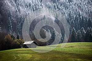 Geroldsee forest during autumn day with first snow and fog over trees, Bavarian Alps, Bavaria, Germany.