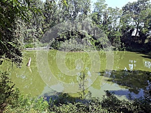 Gerre pond