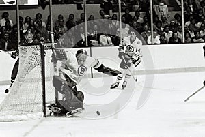 Gerry Cheevers Boston Bruins
