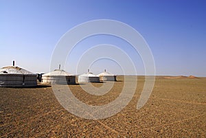 Gers in the Gobi Desert, Mongolia