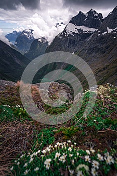 Gertrude Saddle route, fiordland national park, New Zealand