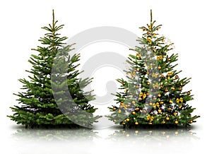 GeschmÃ¼ckter Weihnachtsbaum mit bunten Weihnachtskugeln isoliert auf weiÃŸem Hintergrund