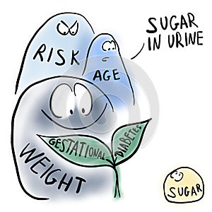 Gestational diabete and risk factors photo