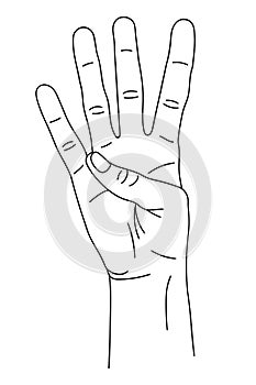 Gesture in the form of four fingers, index, middle, nameless, little finger, raised upward. The hand shows the number