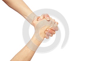 Gesture of hands fastening, handshake isolated on white