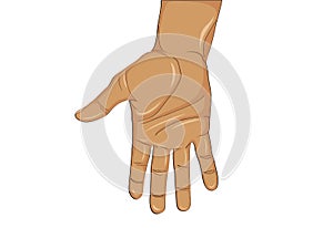 Gesture open palm. Hand gives or receives. Vector illustration