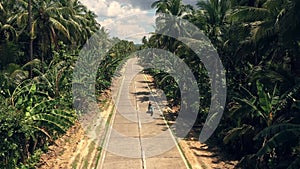 Get closer to nature. 4k video footage of a biker riding along a tree lined road.