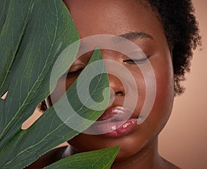 Get lost in her natural beauty. Studio shot of a beautiful young woman posing with a palm leaf against a brown