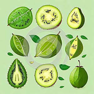 Get Refreshed with Realistic and Detailed Illustrations of Kiwi Fruit.