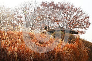 Get rest in haneul park photo