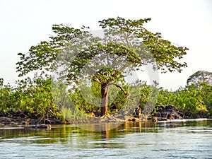 Get to know a little about the Xingu region, in the Amazonia photo