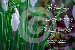 Get well soon, white flowers with text feel better soon photo