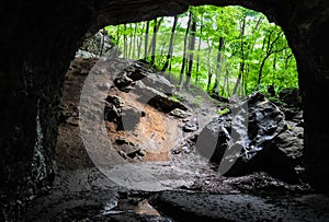 Hiking a wooded trail in Kentucky leading to a cave.